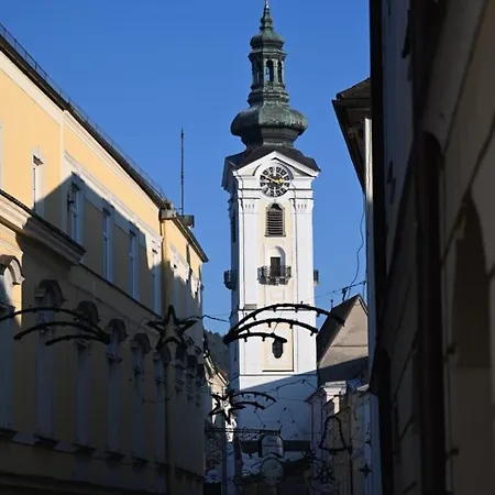Altstadt Appartement *